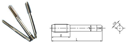 直槽絲錐(全磨制) 直槽絲錐(全磨制)